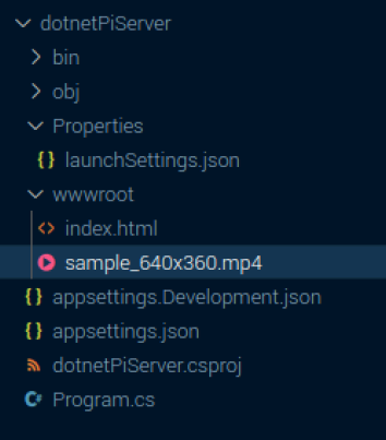 Save video to the wwwroot folder